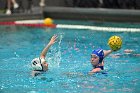 WWPolo vs CC  Wheaton College Women’s Water Polo compete in their sports inaugural match vs Connecticut College. - Photo By: KEITH NORDSTROM : Wheaton, water polo, inaugural